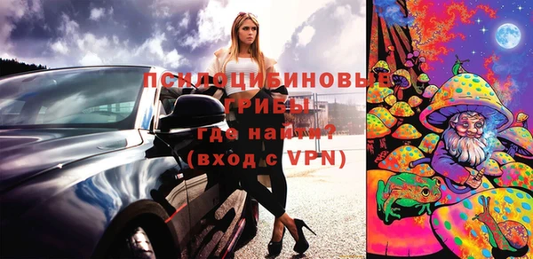 ГАЛЛЮЦИНОГЕННЫЕ ГРИБЫ Алексин