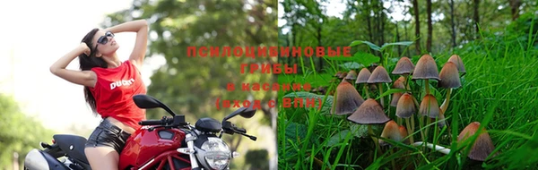 мяу мяу кристалл Алексеевка